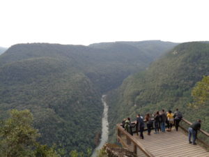 Curso Sistema Único de Saúde, Doenças Tropicais e Cultura Brasileira