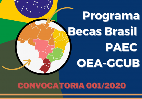 BANNER BECAS BRASIL 2020-6