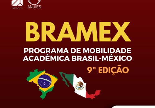 bramex 1